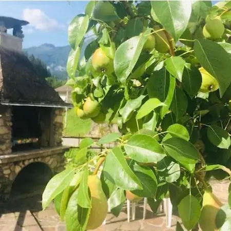 Dolomiti Sot I Piz * Piaia (San Tomaso Agordino, Belluno)