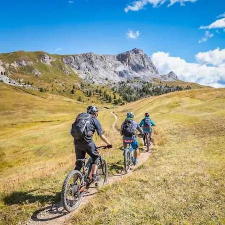 Dolomiti Sot I Piz Apartment